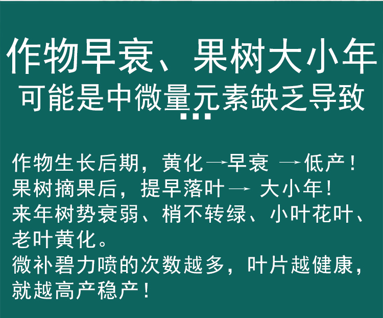 微补碧力_06.jpg