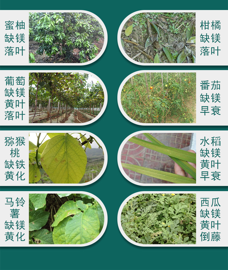 微补碧力_07.jpg