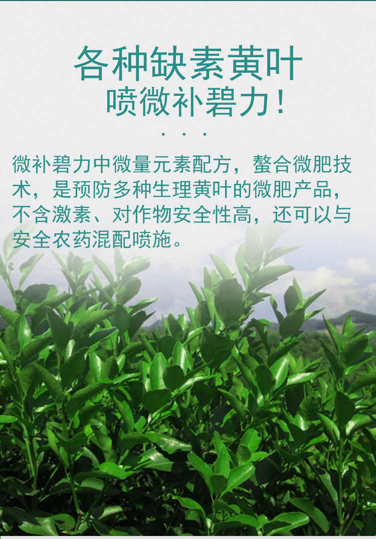 微补碧力_08.jpg