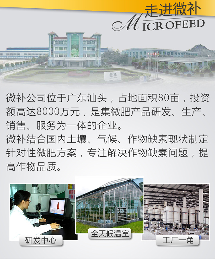 微补碧力_11.jpg