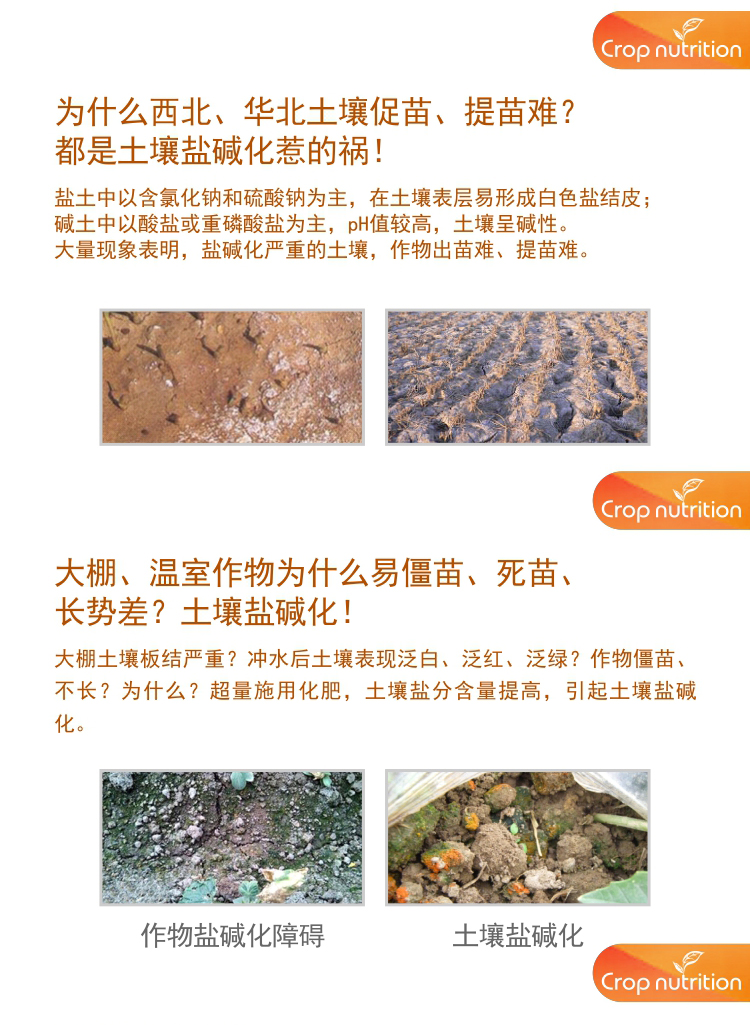 因迪乐有机盐碱土调理水溶肥1_02.jpg