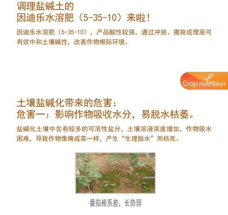 因迪乐有机盐碱土调理水溶肥1_03.jpg
