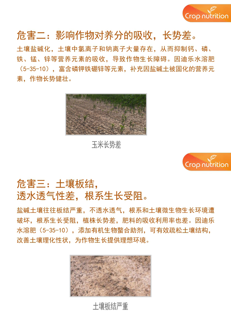 因迪乐有机盐碱土调理水溶肥1_04.jpg