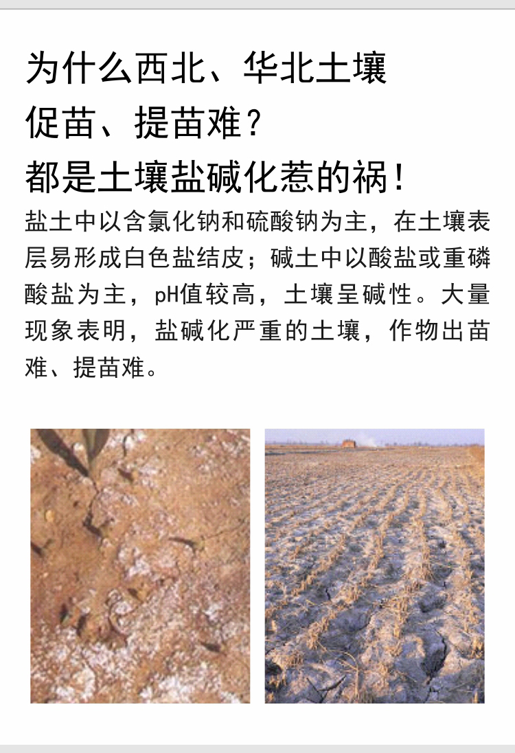 因迪乐有机盐碱土调理水溶肥_02.jpg