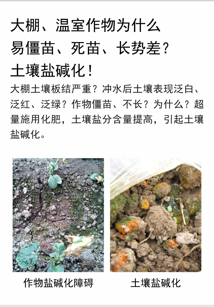 因迪乐有机盐碱土调理水溶肥_03.jpg