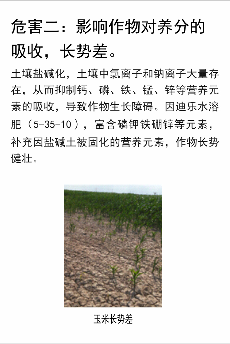 因迪乐有机盐碱土调理水溶肥_05.jpg