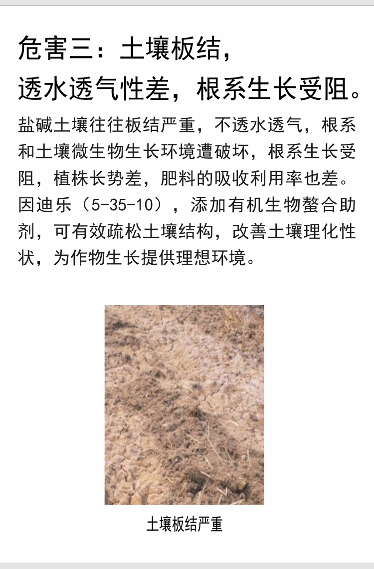 因迪乐有机盐碱土调理水溶肥_06.jpg