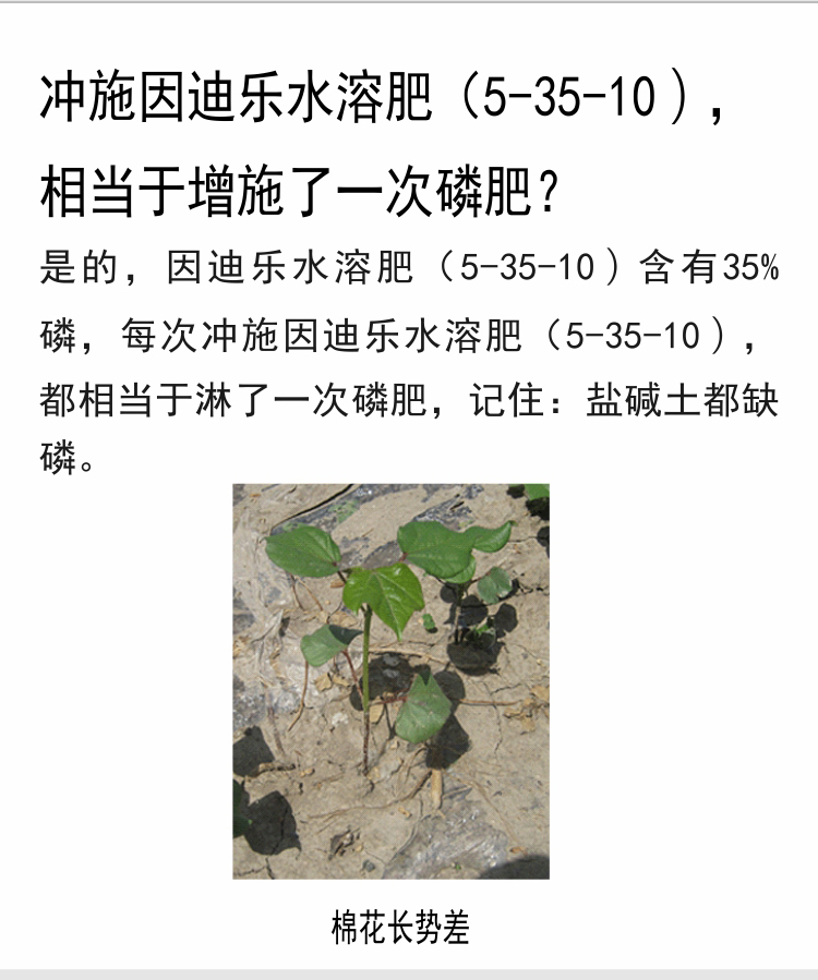 因迪乐有机盐碱土调理水溶肥_07.jpg