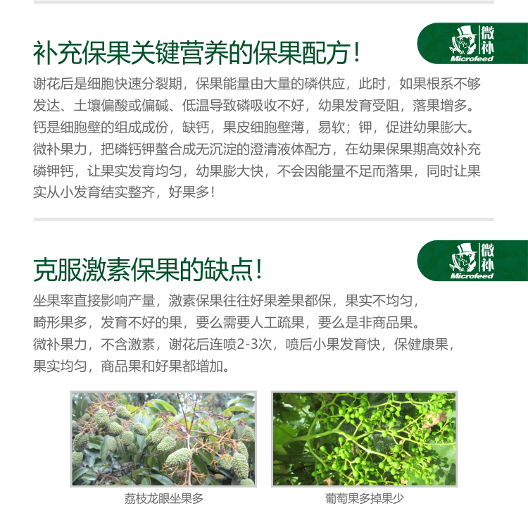 微补果力_02.jpg