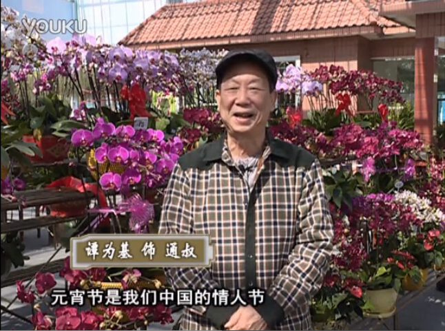 20160222珠江台摇钱树：用绿夫人营养液，简单种花都能养得靓