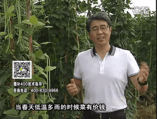 20160704珠江台摇钱树：蔬菜用微补方案，省肥药又保产