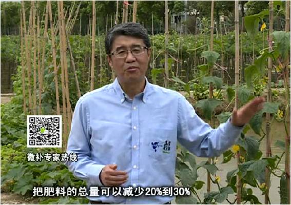 20170508珠江台摇钱树：如何提高蔬菜抗病增产