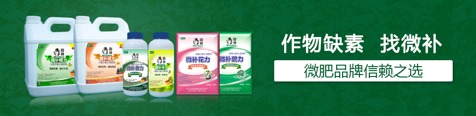 叶面肥厂家