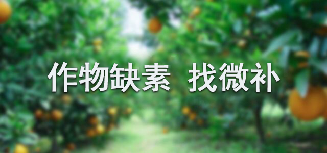 携手微补,开创微肥新时代