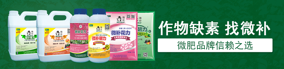 肥料批发