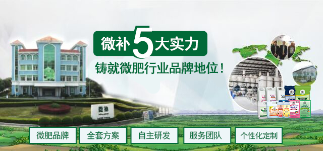 选择微补 选择微肥品牌