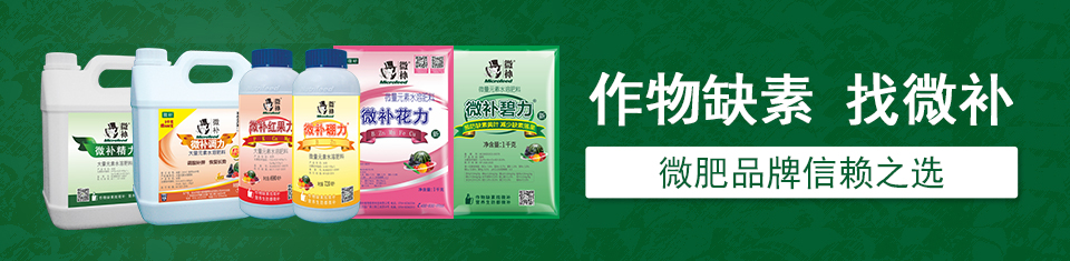 叶面肥厂家