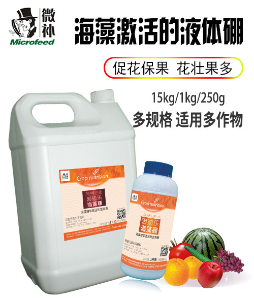 因迪乐海藻硼