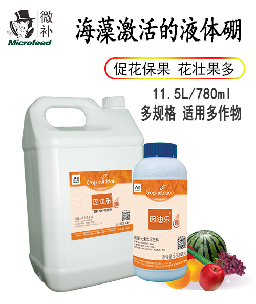 因迪乐硼