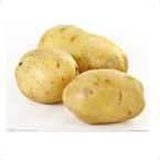 马铃薯营养方案