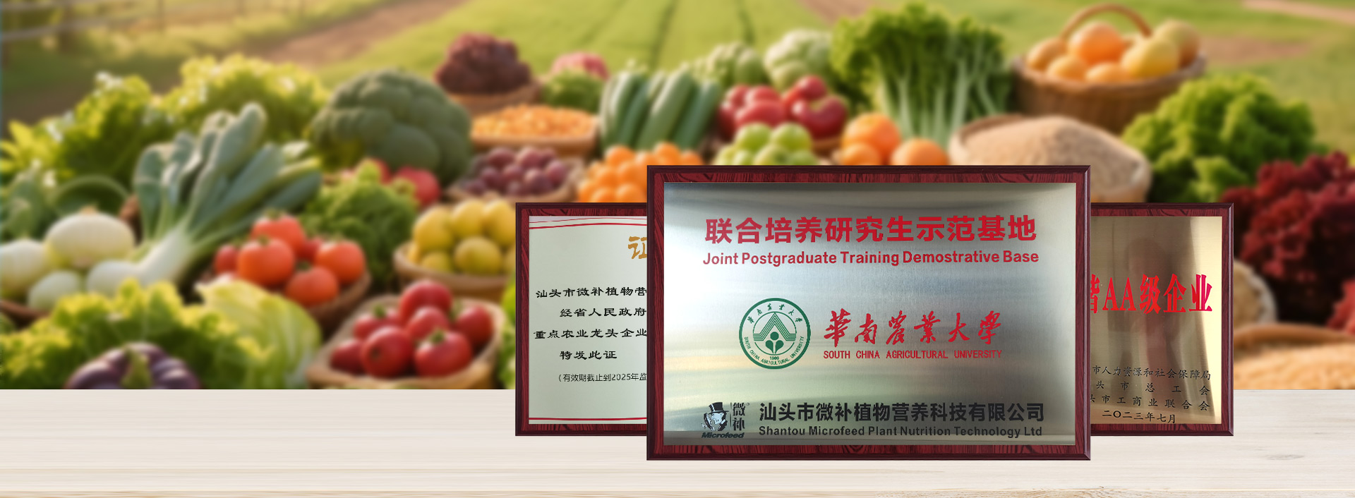 个性化定制