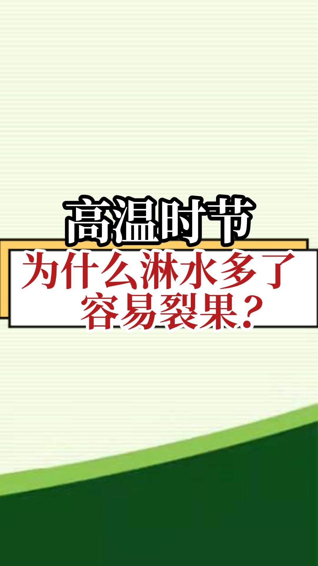 高温时节，为什么淋水多了容易裂果？