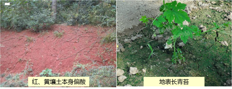 课堂 (3)