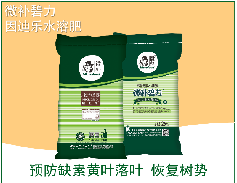 图片5