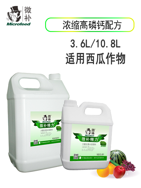微补精力西瓜