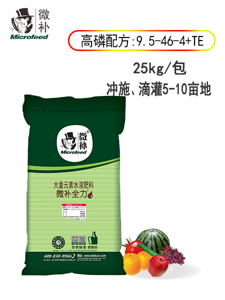 微补全力