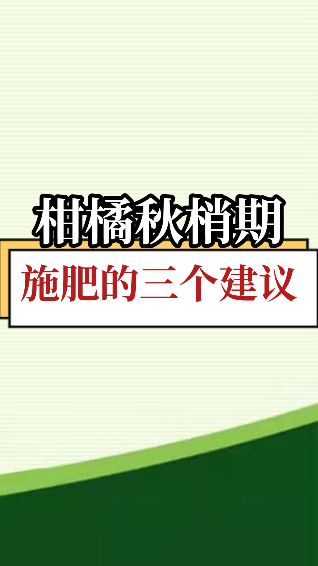 柑橘秋梢期，施肥的三个建议