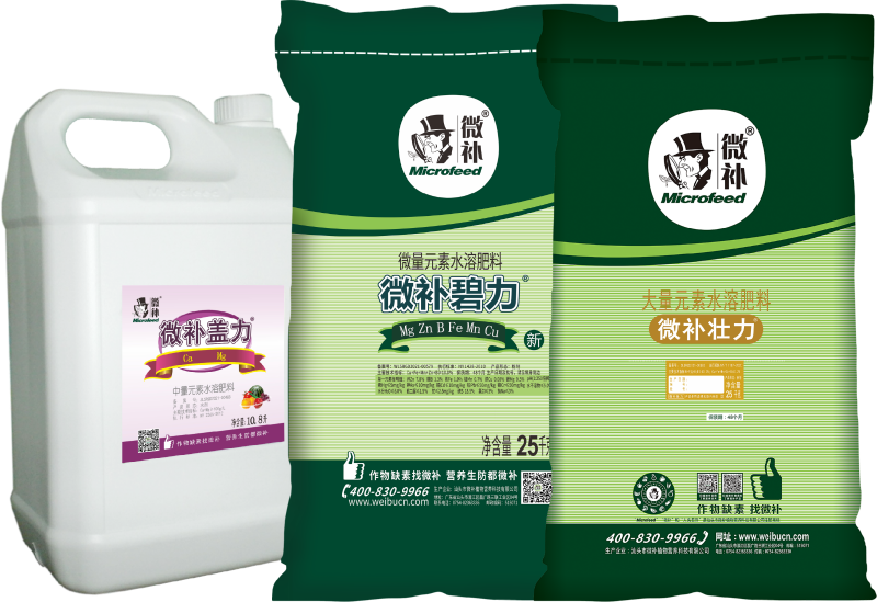 碧力+壮力+盖力