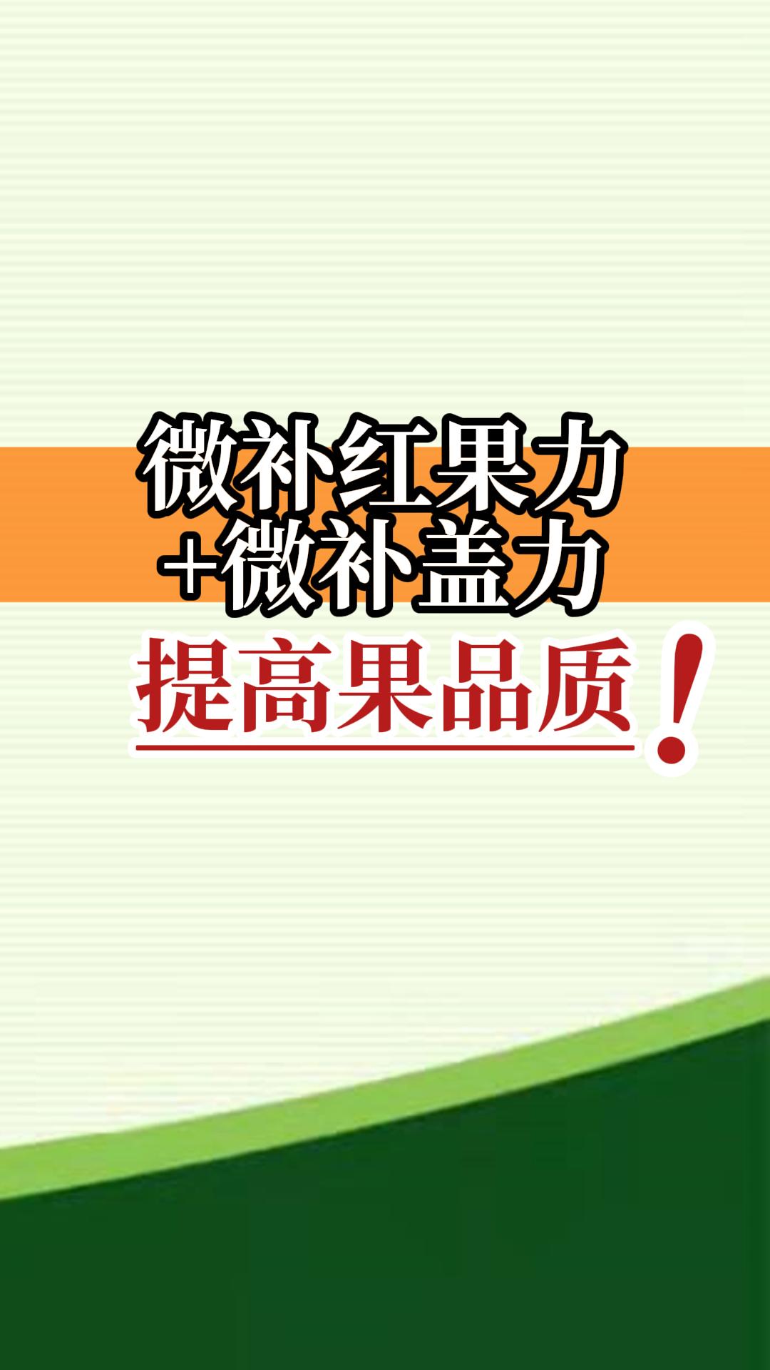 微补红果力+微补盖力提高果品质