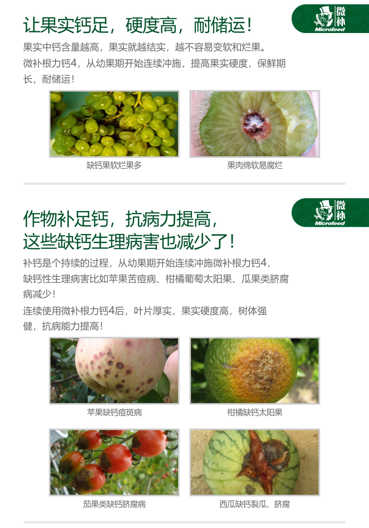 微补根力钙4