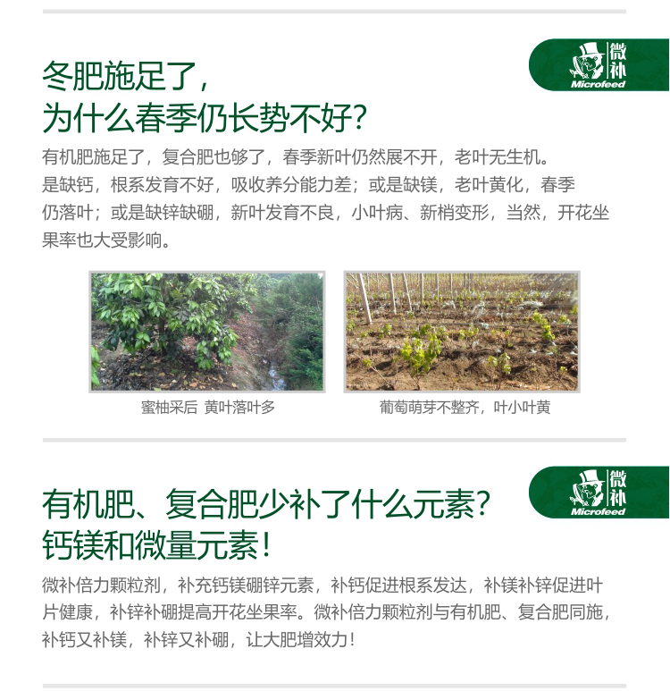 微补倍力
