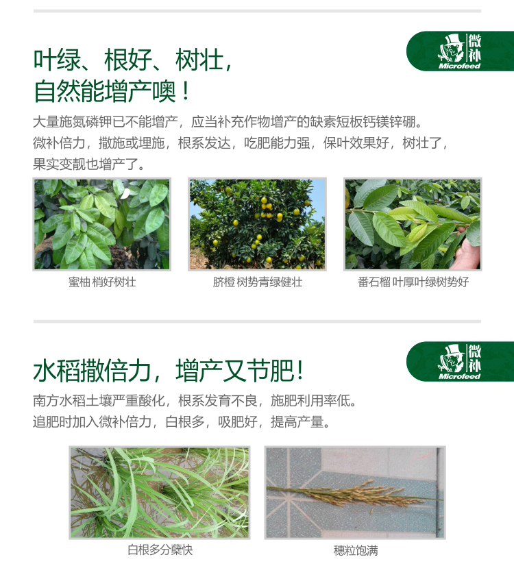 微补倍力