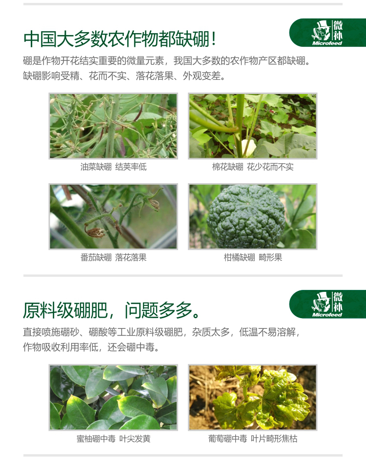 微补硼力