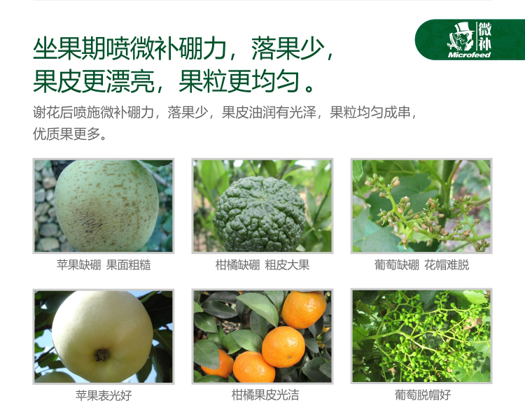 微补硼力