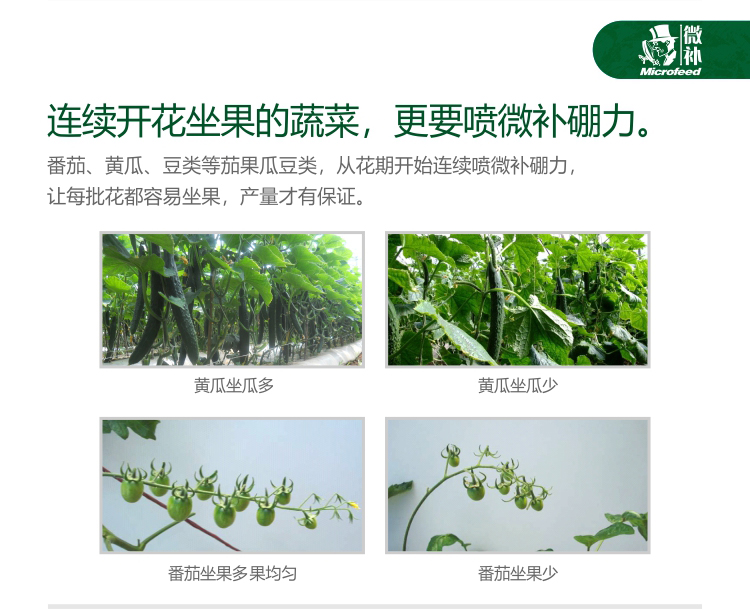 微补硼力