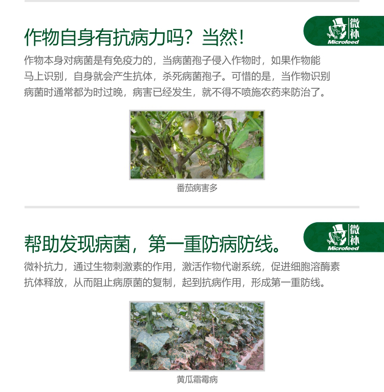 微补抗力2