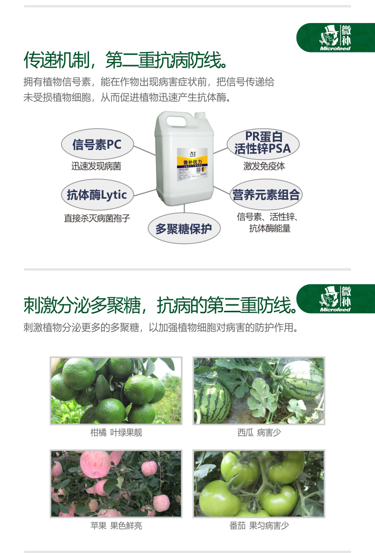 微补抗力2