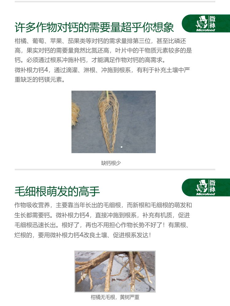 微补根力钙4