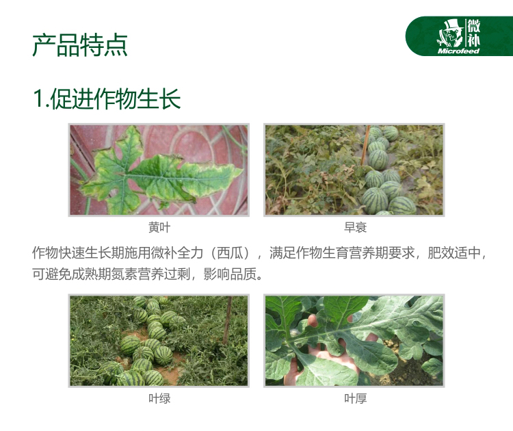 微补西瓜全力