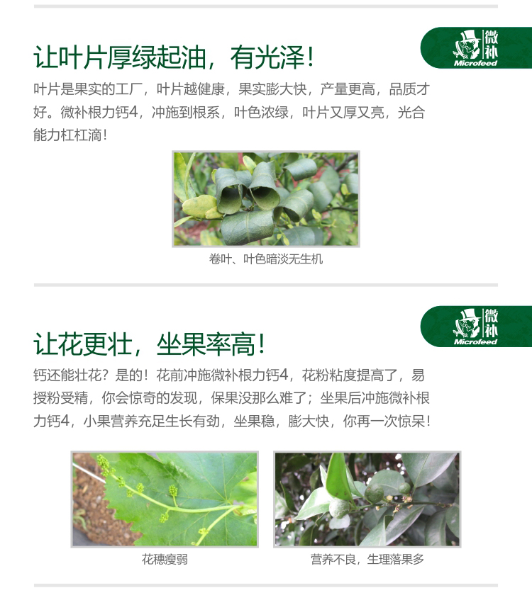 微补根力钙4