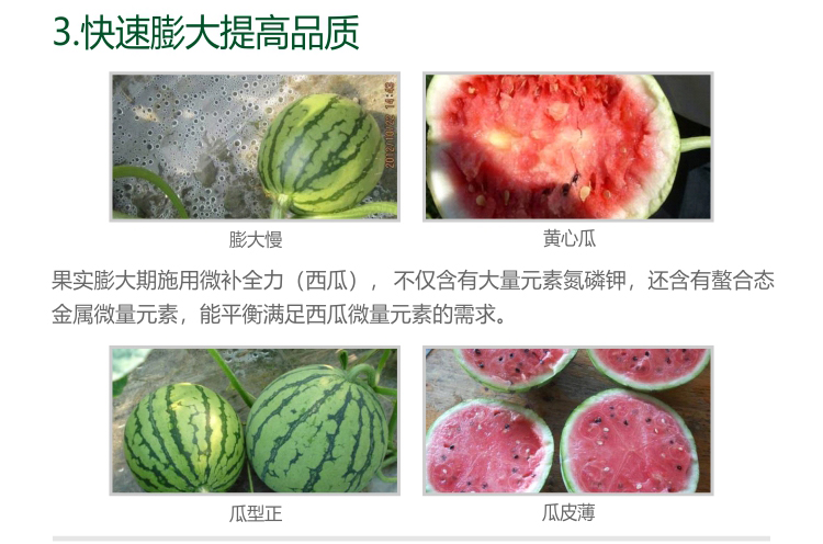 微补西瓜全力