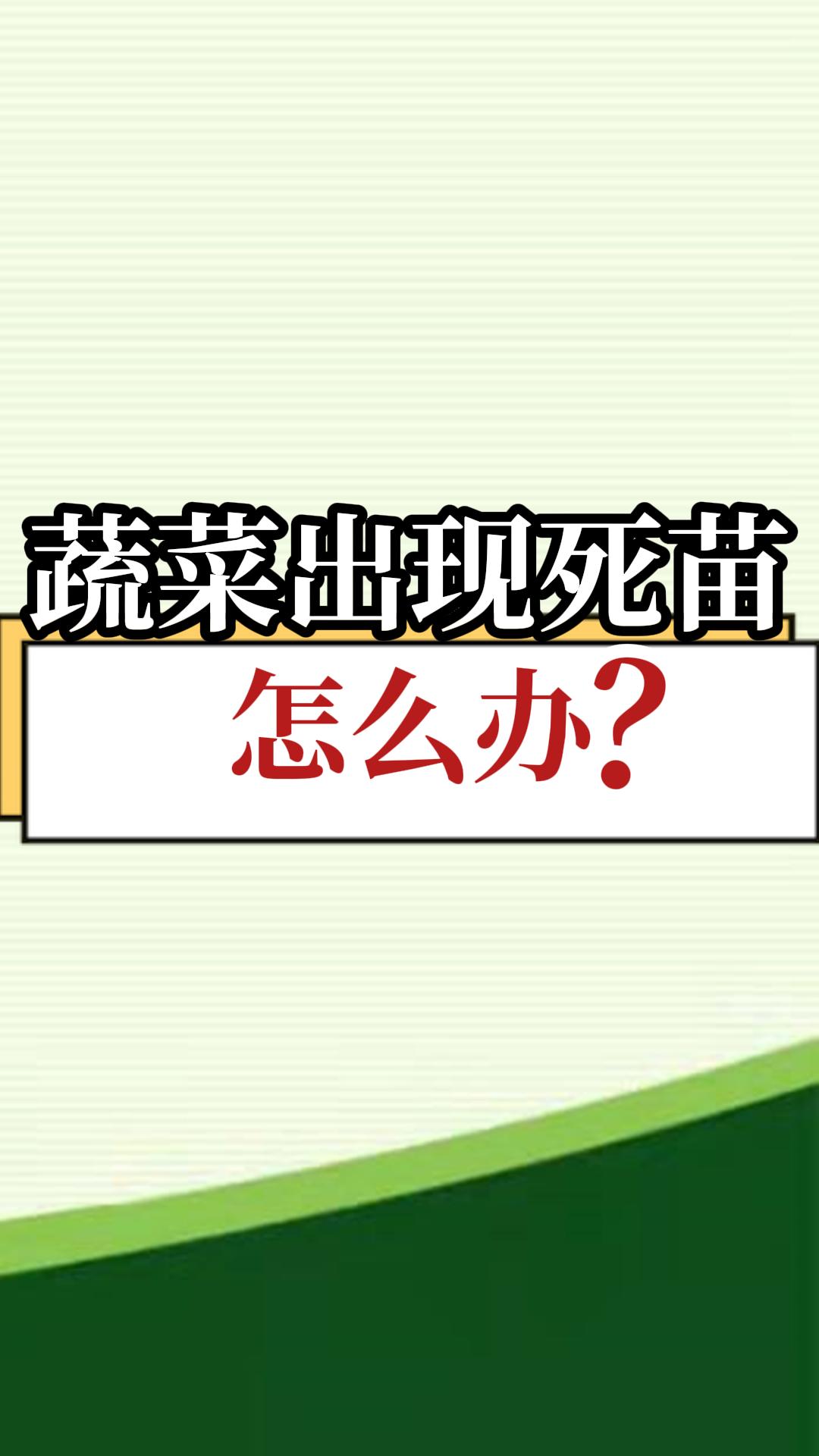 蔬菜出现死苗，怎么办？