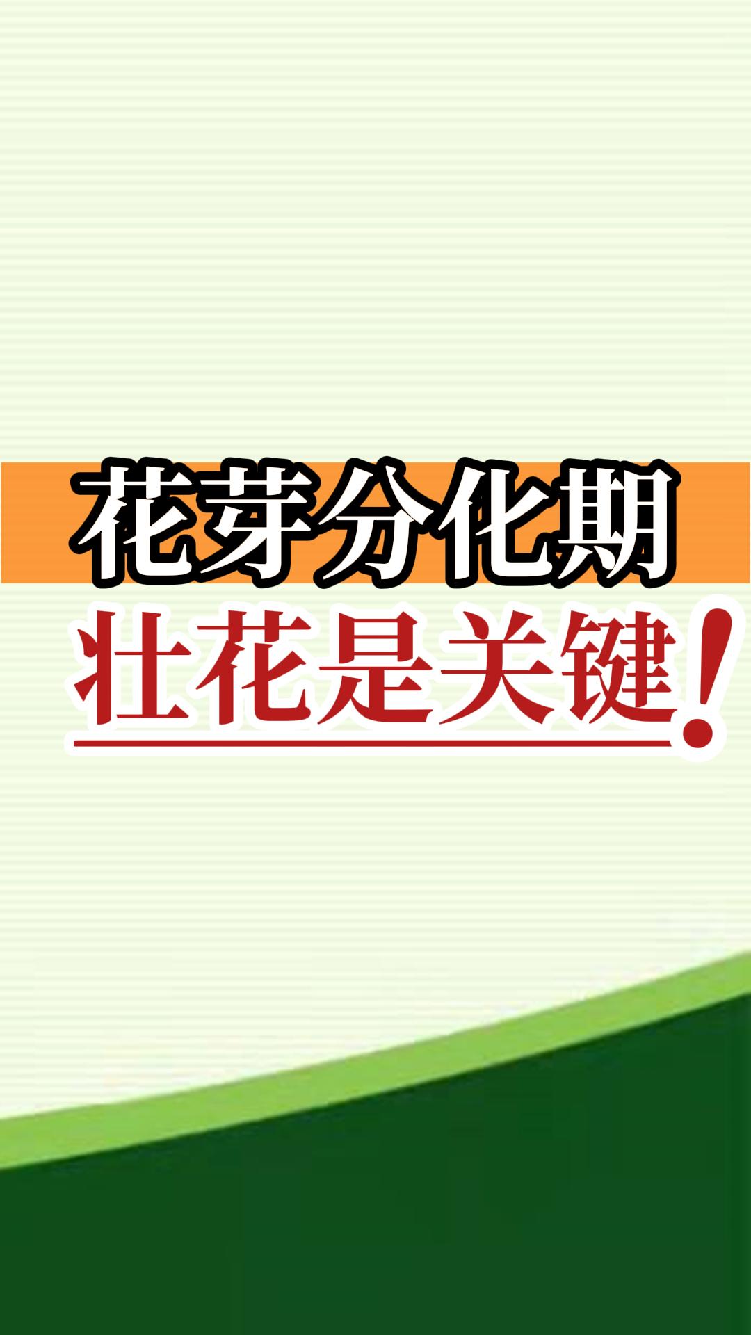 花芽分化期 壮花是关键