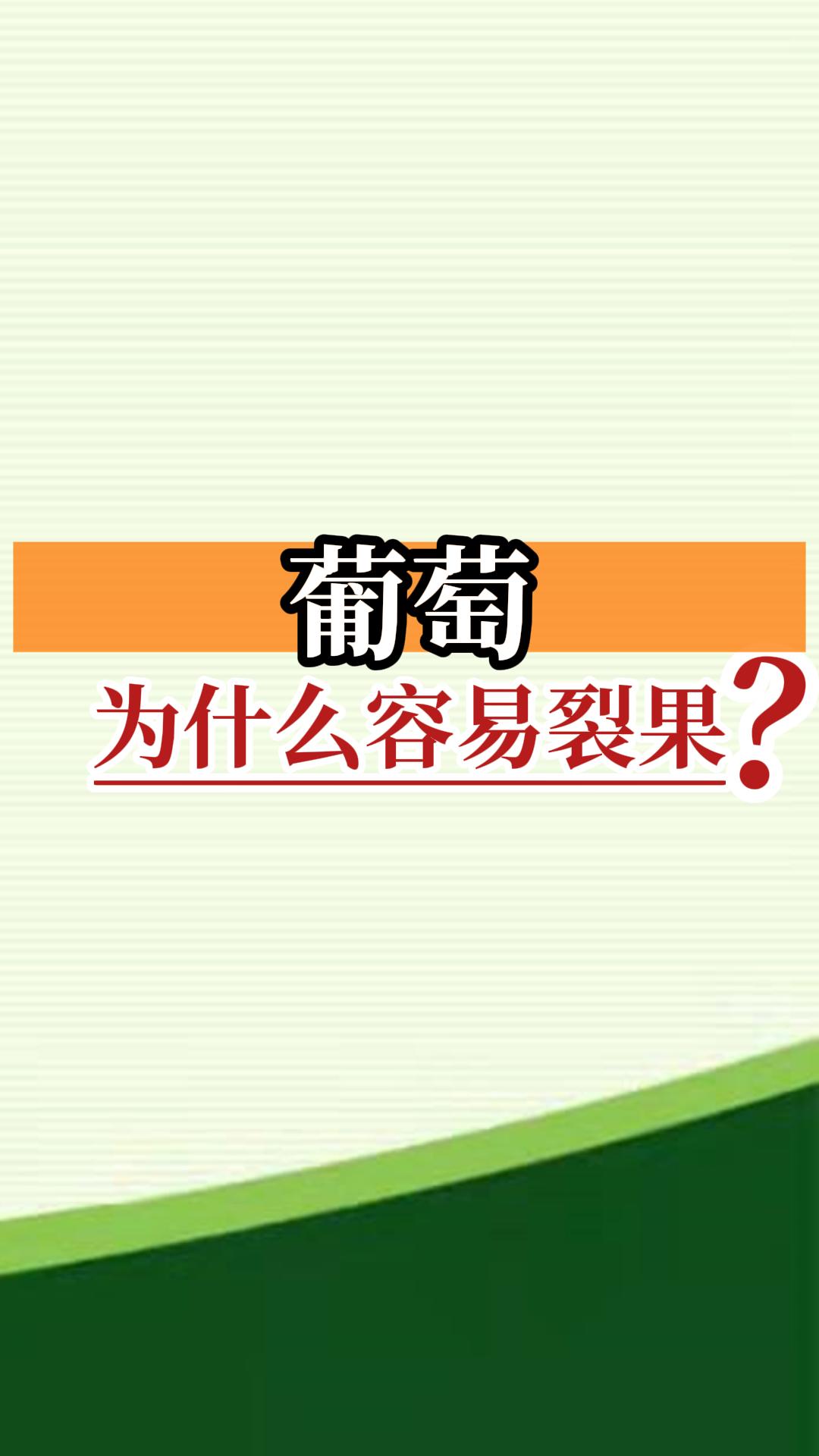 葡萄为什么容易裂果？