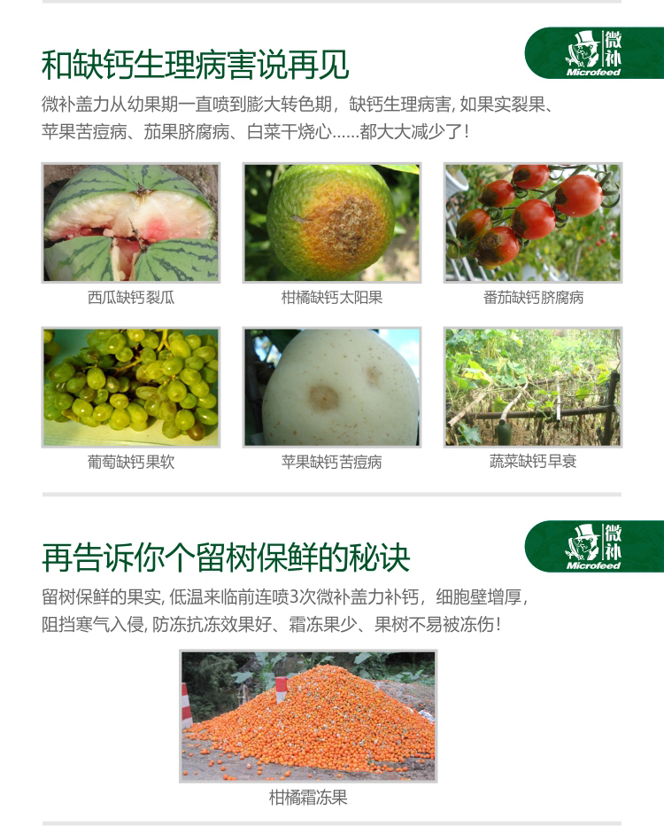 微补盖力