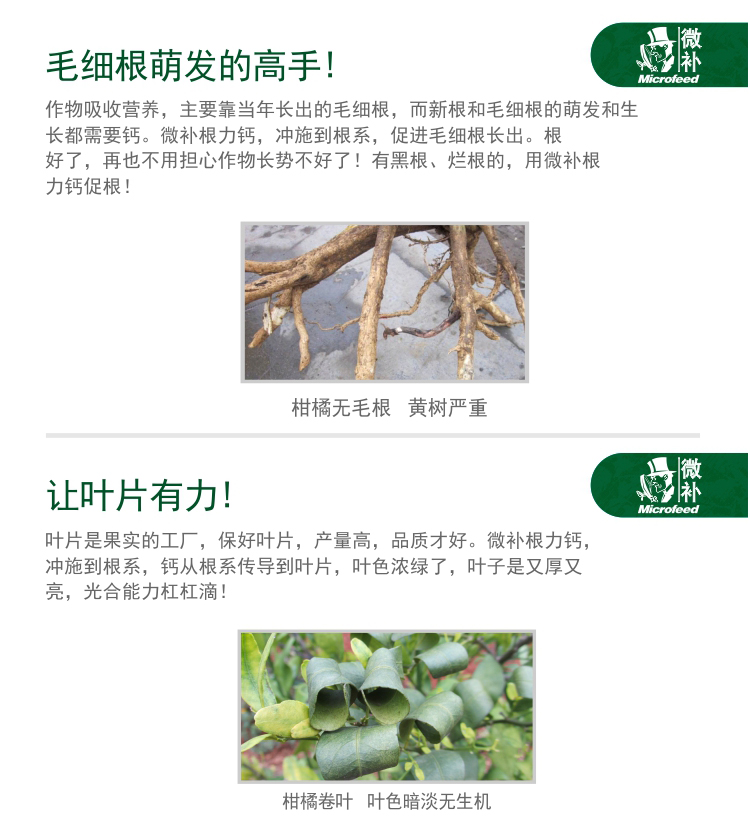 微补根力钙